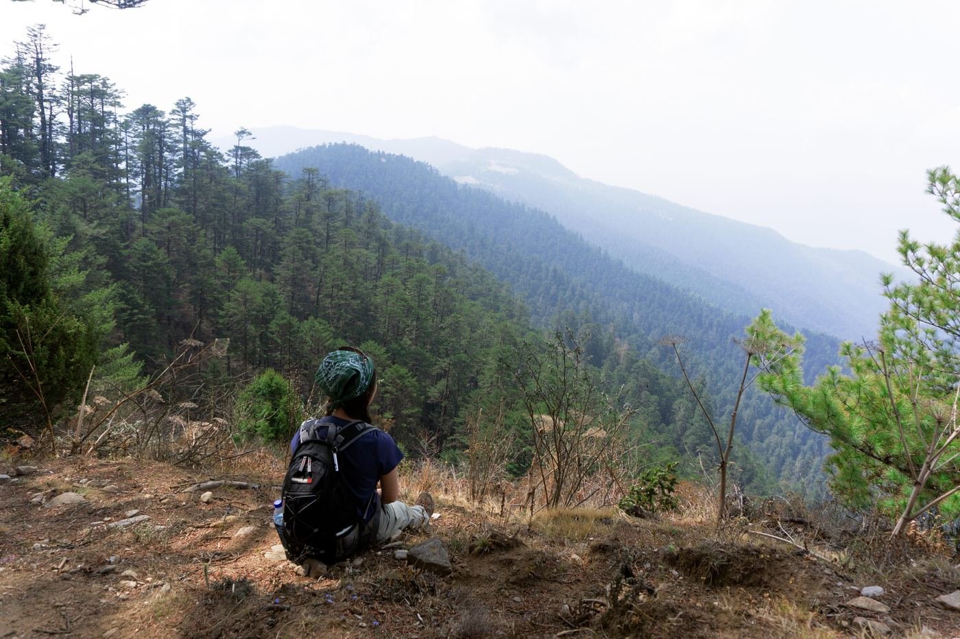 Druk Path Trek ridge overlook