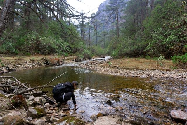 Resting by an alpine stream