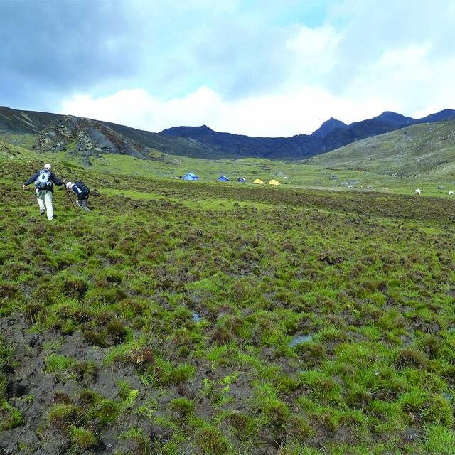 Trekking the Paro Chu river valley